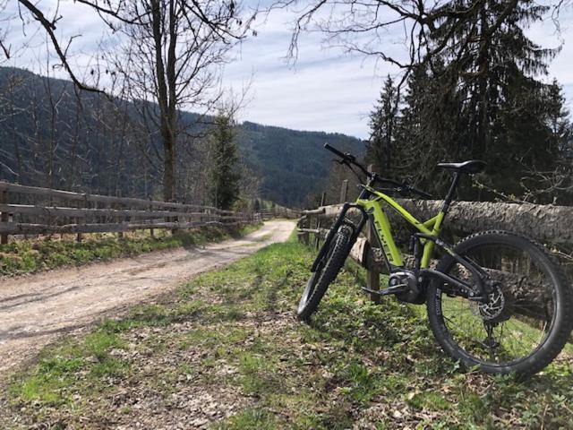 Appartement Freiraum Sankt Martin am Tennengebirge Bagian luar foto