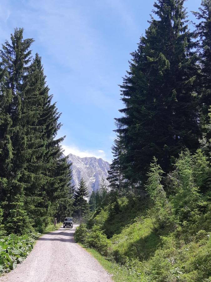 Appartement Freiraum Sankt Martin am Tennengebirge Bagian luar foto