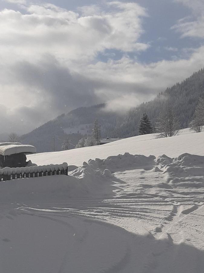 Appartement Freiraum Sankt Martin am Tennengebirge Bagian luar foto
