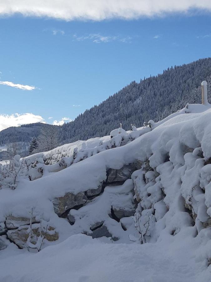 Appartement Freiraum Sankt Martin am Tennengebirge Bagian luar foto
