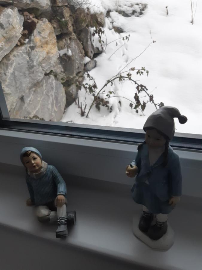 Appartement Freiraum Sankt Martin am Tennengebirge Bagian luar foto
