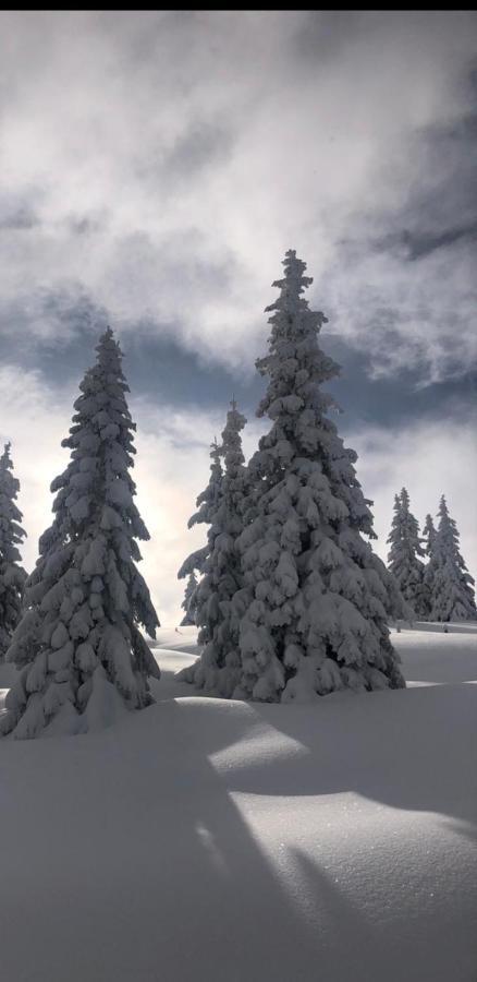 Appartement Freiraum Sankt Martin am Tennengebirge Bagian luar foto