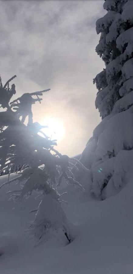 Appartement Freiraum Sankt Martin am Tennengebirge Bagian luar foto